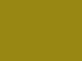 Golden Slipper Color Chip